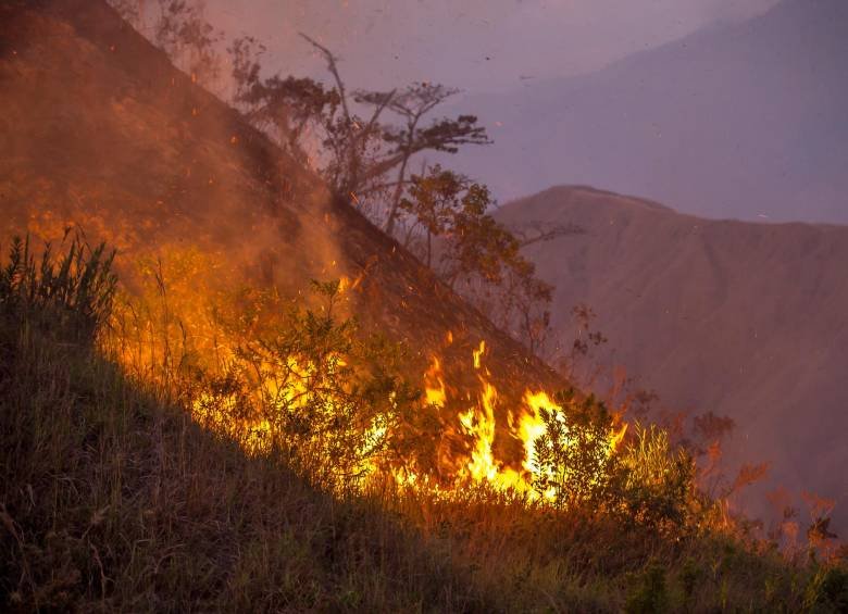 Sin bomberos, pero con sus campesinos solidarios, Peque apaga sus incendios