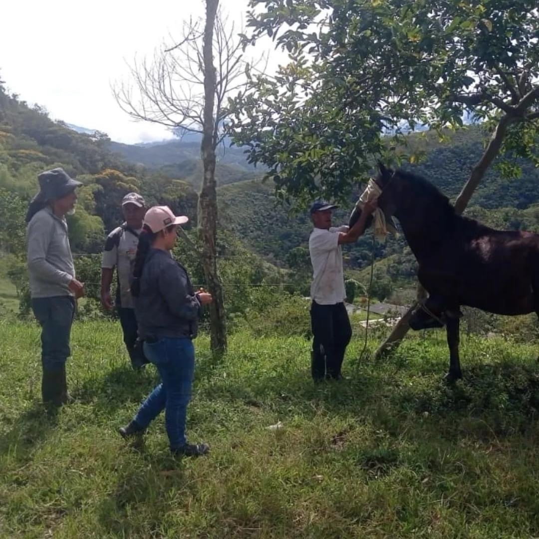 FRONTINO IMPULSA EL BIENESTAR DEL SECTOR CAMPESINO Y AGROPECUARIO CON JORNADAS DE SALUD Y ATENCIÓN RURAL