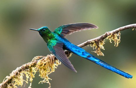 Mistrató, Risaralda, tierra de exuberante belleza.