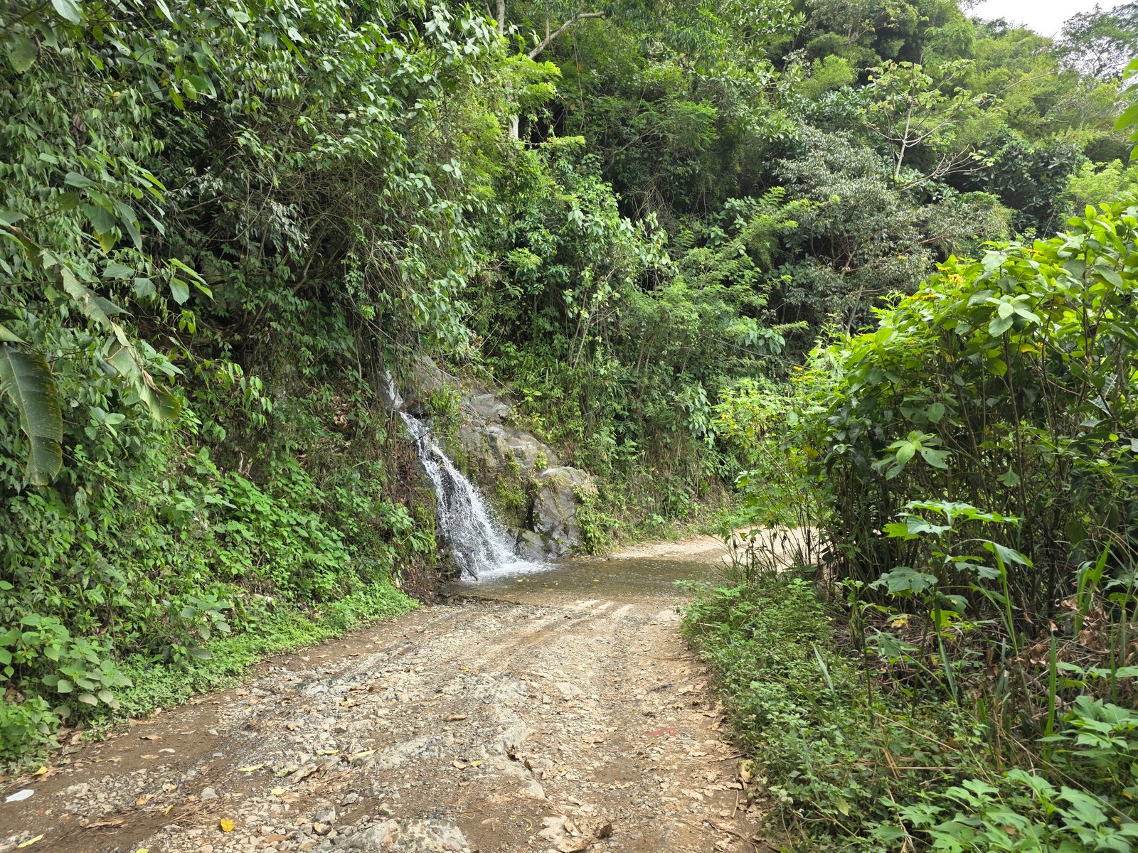 GOBERNACIÓN DE ANTIOQUIA ABRE LICITACIÓN PARA PAVIMENTAR 634 KILÓMETROS DE VÍAS EN EL DEPARTAMENTO