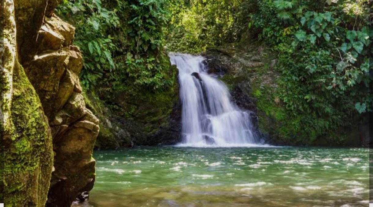 AGUA, ¡TESORO BENDITO!&nbsp;